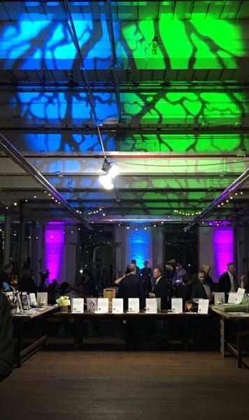 American Audience Audiovisual