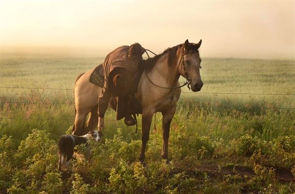 Megan Thompson Photography