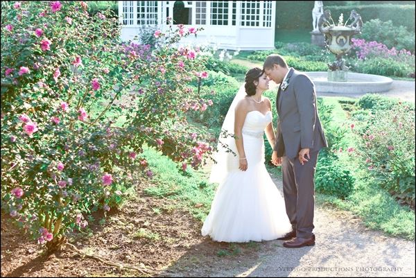 Vertigo Productions Photography