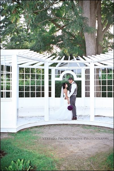 Vertigo Productions Photography