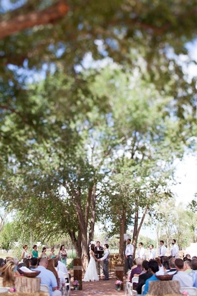 Love Springs Studios