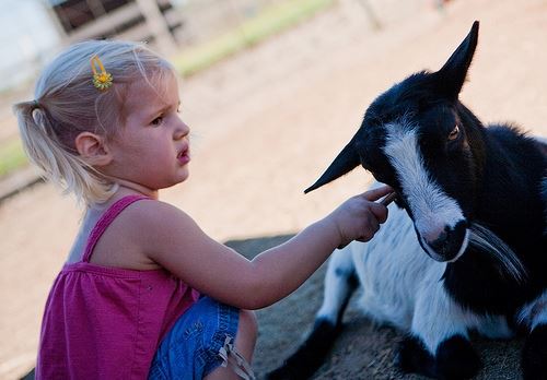 Country Critters Farm