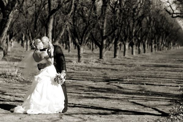 Wedding Xpressions Photography