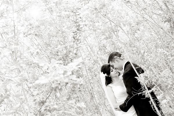 Wedding Xpressions Photography