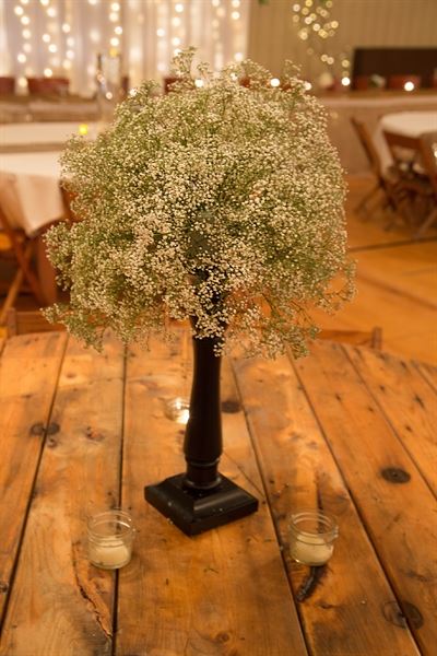 Oshkosh Event Rental