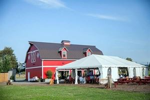 Special Occasion Tent