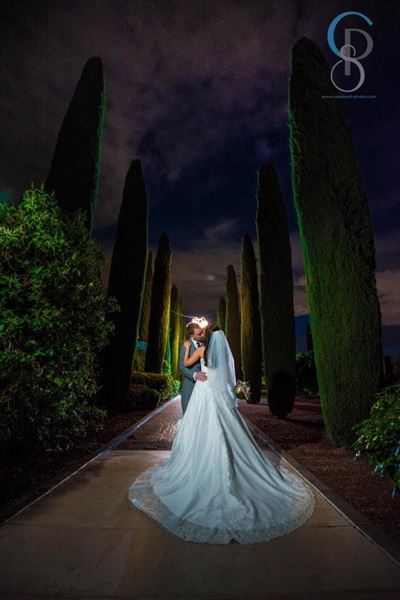 Vegas Weddings Planner