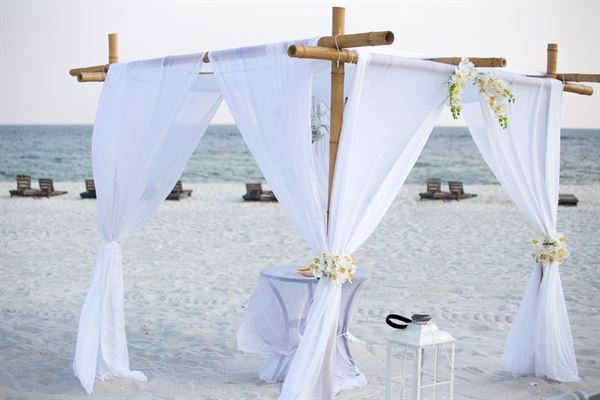 Your Dream Beach Wedding