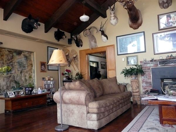 Whitebird Summit Lodge