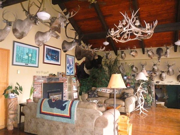 Whitebird Summit Lodge