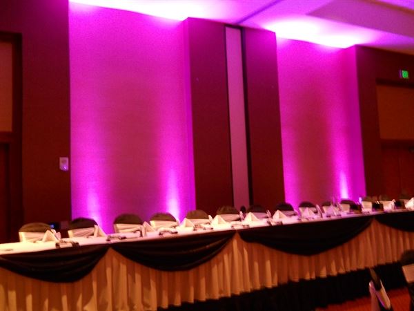 Rusch Entertainment Weddings DJs Uplights Dueling Pianos Photo Booth  Harpist