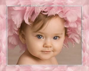 Perfect Image Photography