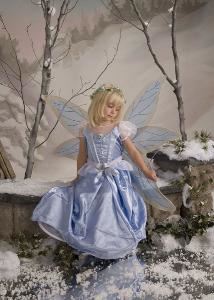 Perfect Image Photography