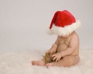 Perfect Image Photography