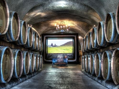 Outdoor Movie Screens for Rental