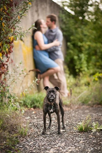 Trailing Twine Photography