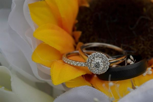 Shutters and Flutters Photography