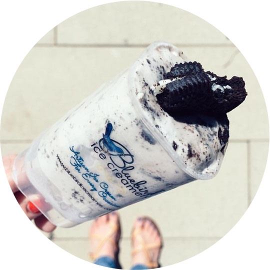 Bluebird Ice Creamery