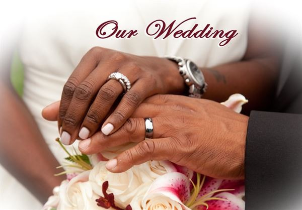 Katydid Photography Studio