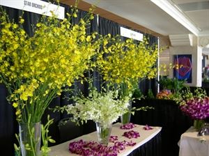 Concourse: Level 1 West Concourse