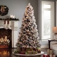 JDH Management and Consulting