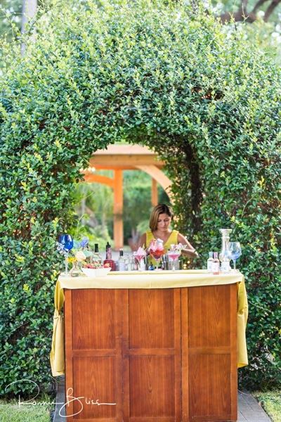 Palace Party Beverage Co