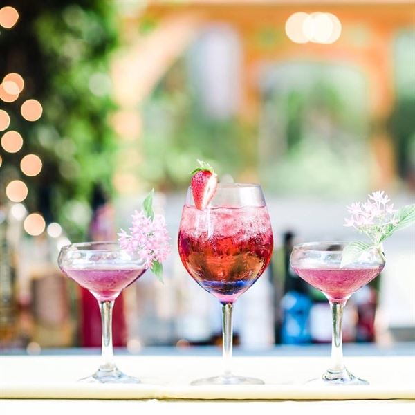 Palace Party Beverage Co