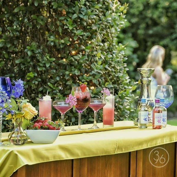 Palace Party Beverage Co