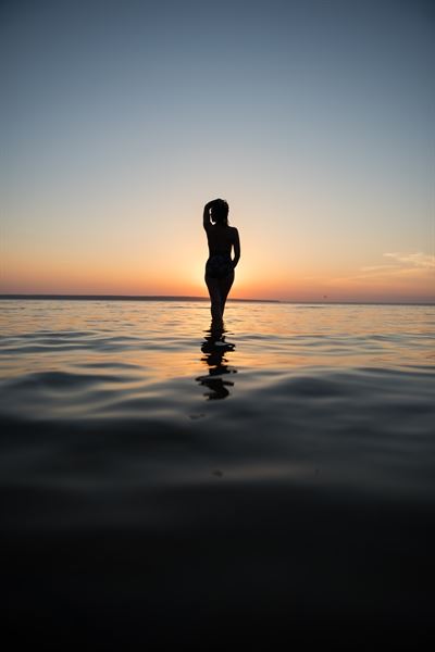 EverWild Photography