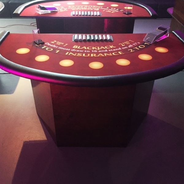 Florida Fun Casino Party