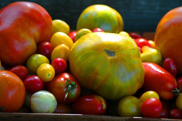 FARMbloomington