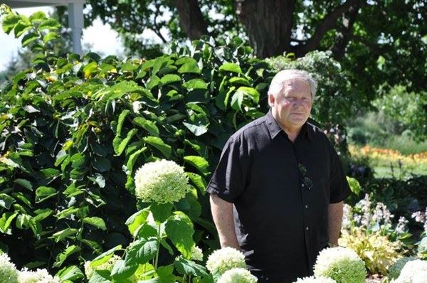 Harold Chamberlain Wedding Officiant