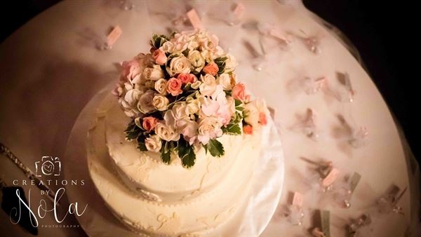 Creations by Nola Photography