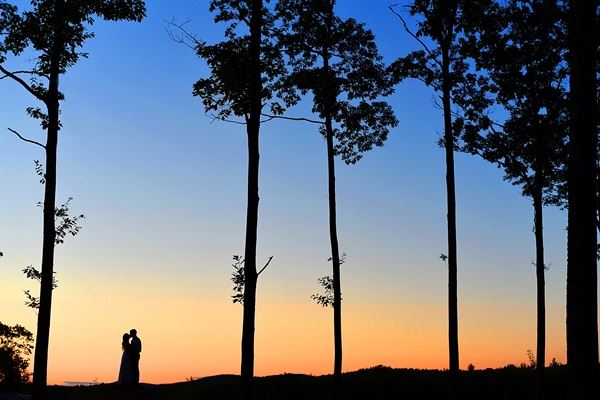 True North Photography