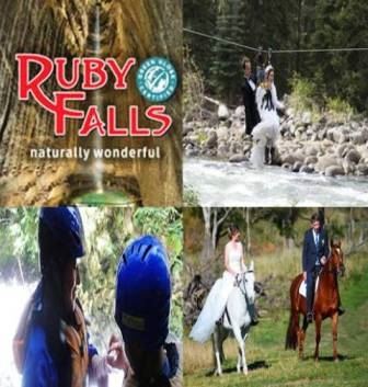 Chattanooga's Wedding Service