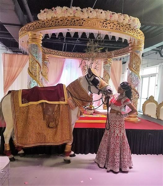 Misty Blue Acres Carriage Company LLC