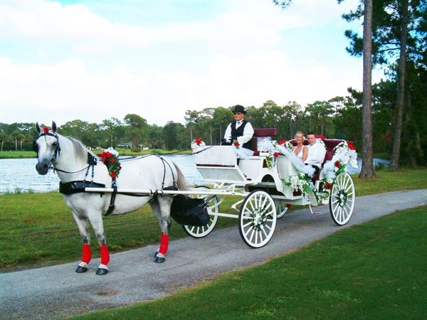 Misty Blue Acres Carriage Company LLC