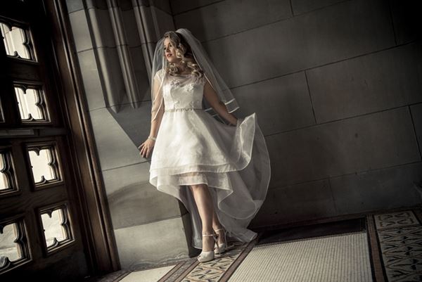 Mitch Lenet Weddings