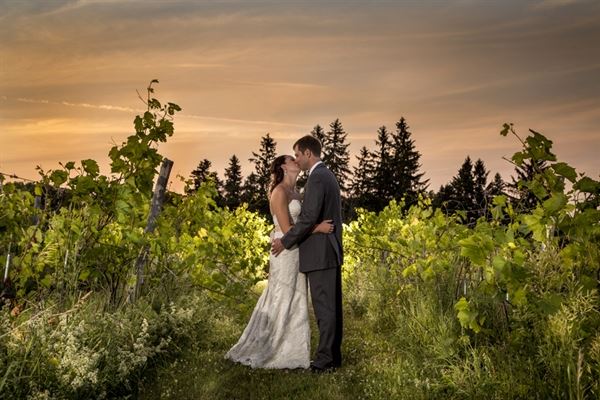 Mitch Lenet Weddings