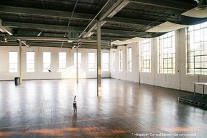 Stage 1 - The Big One