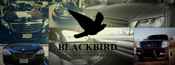 Blackbird Worldwide - Limo & Car Services New York