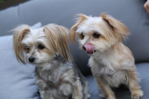 Mark Laing Creative Photography