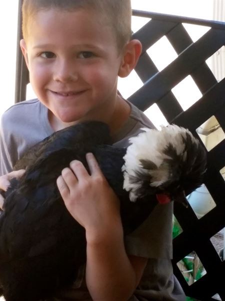 Schoolhouse Ice Cream & Farm