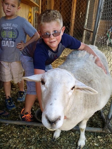 Schoolhouse Ice Cream & Farm