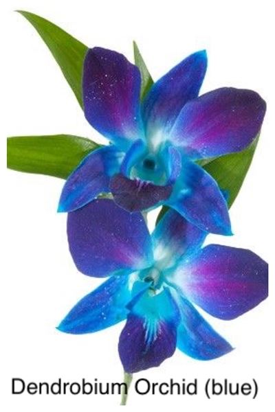 Forever Love Bridal Consulting