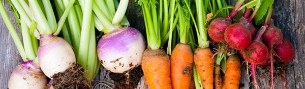 Savory Cuisines Catering