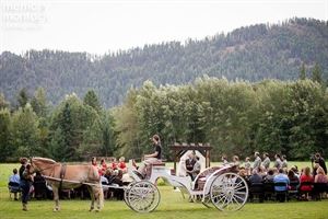 The Field and Mountain