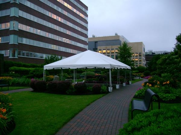 Canopy Tents By Michael