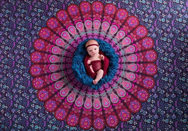 Jennifer McNeil Photography