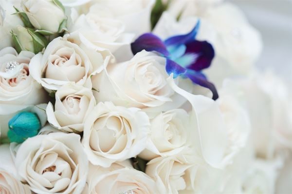 Beautiful Elegant Events